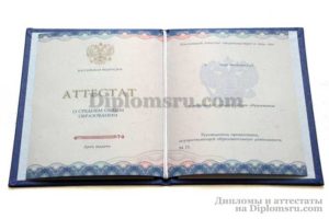 купить аттестат в Пскове